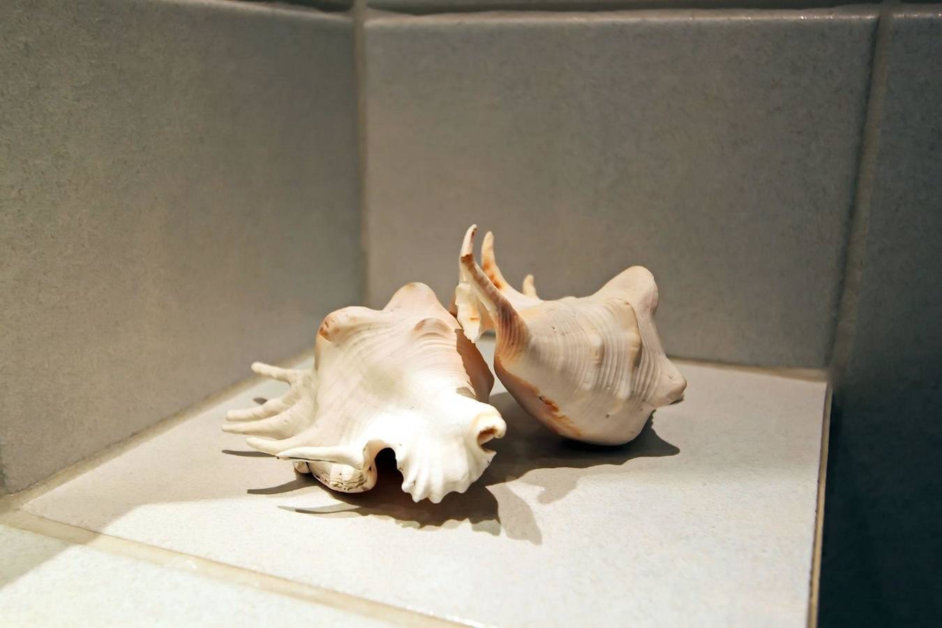 Ganze Ferienwohnung, Windspiel in Hörnum, Sylt