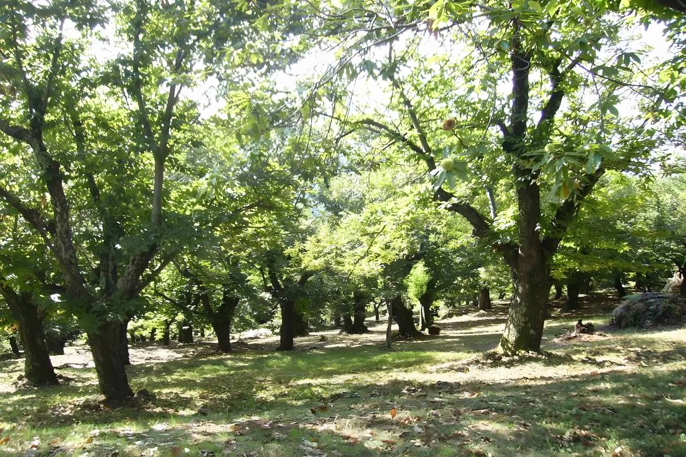 Villa „Gîte Les Bouches Rouges für 6 Personen“ mit Bergblick, Wlan und Klimaanlage in Vesseaux, Parc naturel régional des Monts d'Ardèche