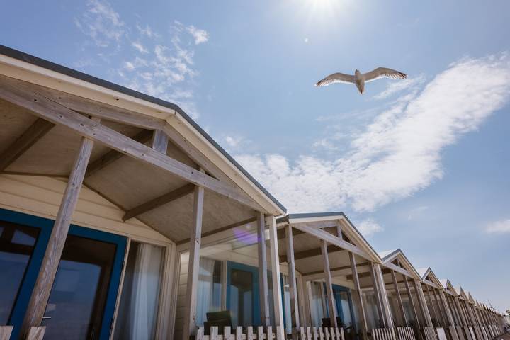 Huisje aan zee voor 6 personen, met Balkon/Terras en Terras in Wijk aan Zee