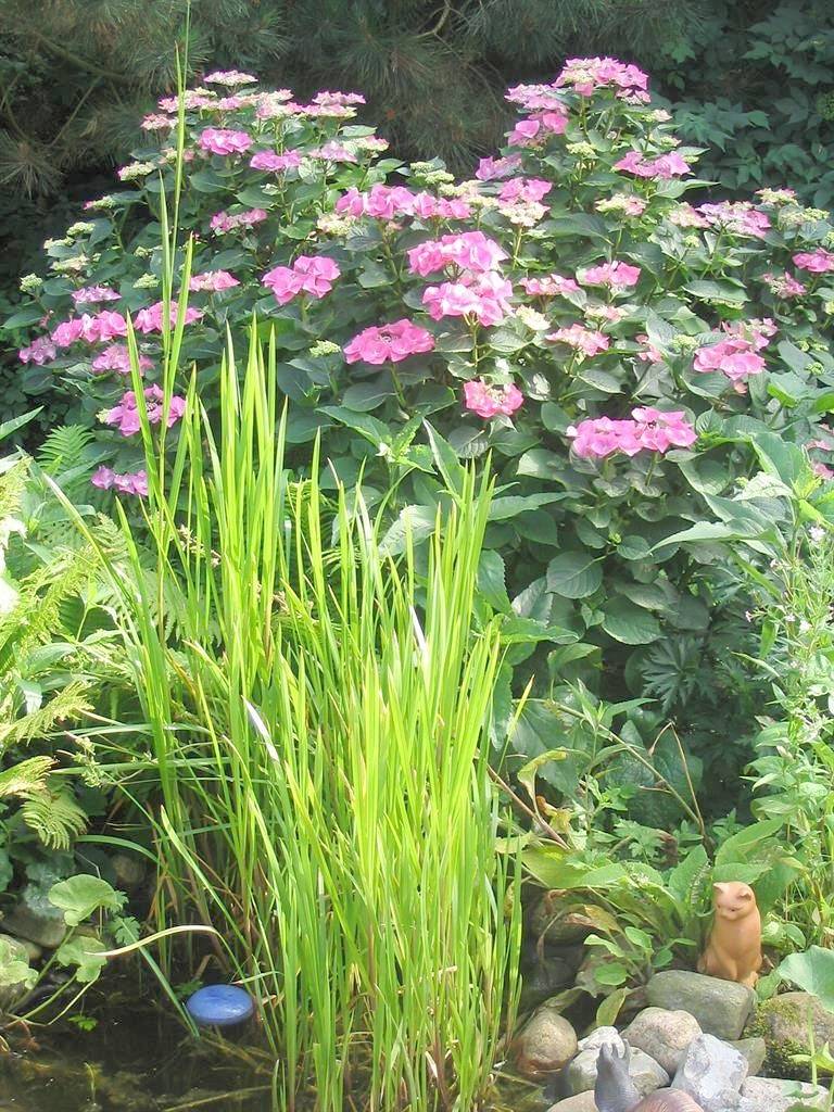 Ganze Ferienwohnung, Ferienwohnung Fresenborg in St. Peter-Ording, Eiderstedt