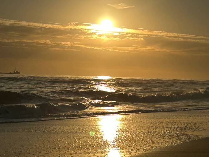 Gîte pour 7 personnes, avec terrasse ainsi que piscine et jardin à Lepe - 4