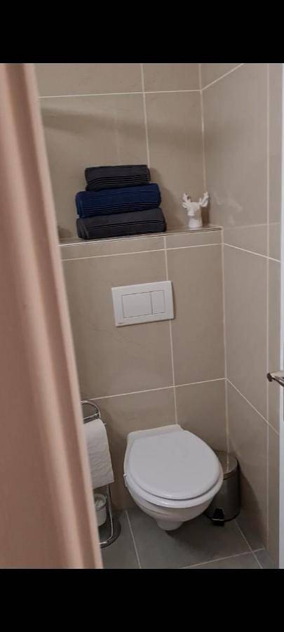 Gîte pour 3 personnes, avec vue et balcon, animaux acceptés dans Anzère - 2