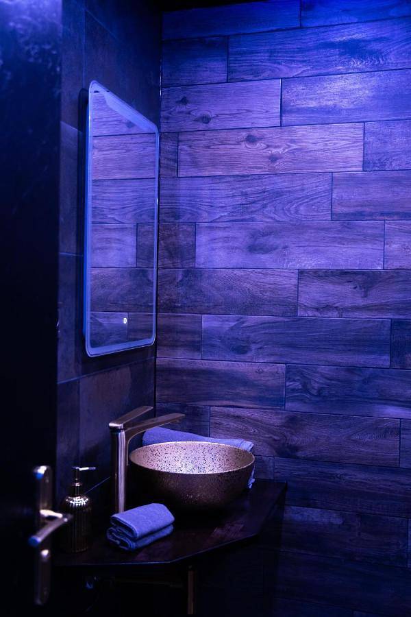 Gîte pour 2 personnes, avec jacuzzi, animaux acceptés à Strasbourg - 3