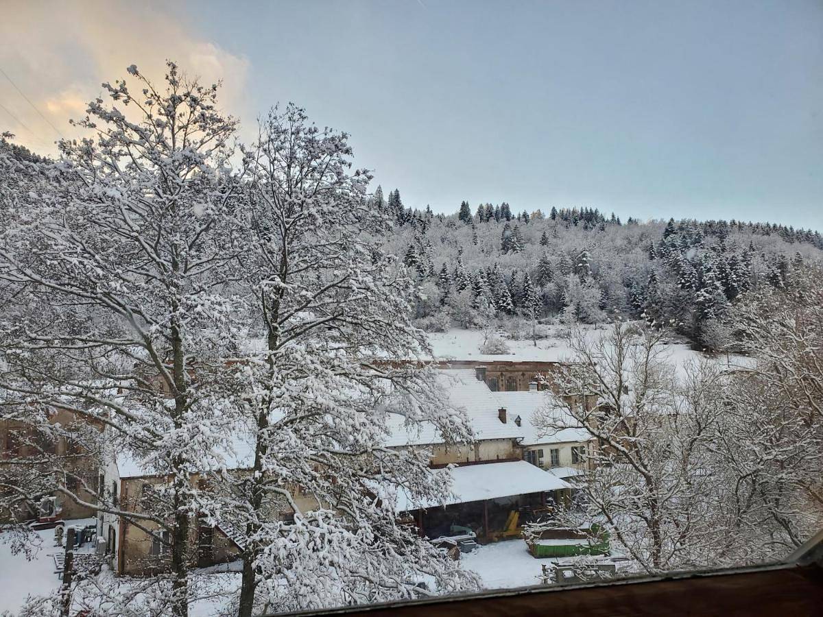 Appartement entier, One-Bedroom Apartment in Plainfaing, Parc naturel régional des Ballons des Vosges