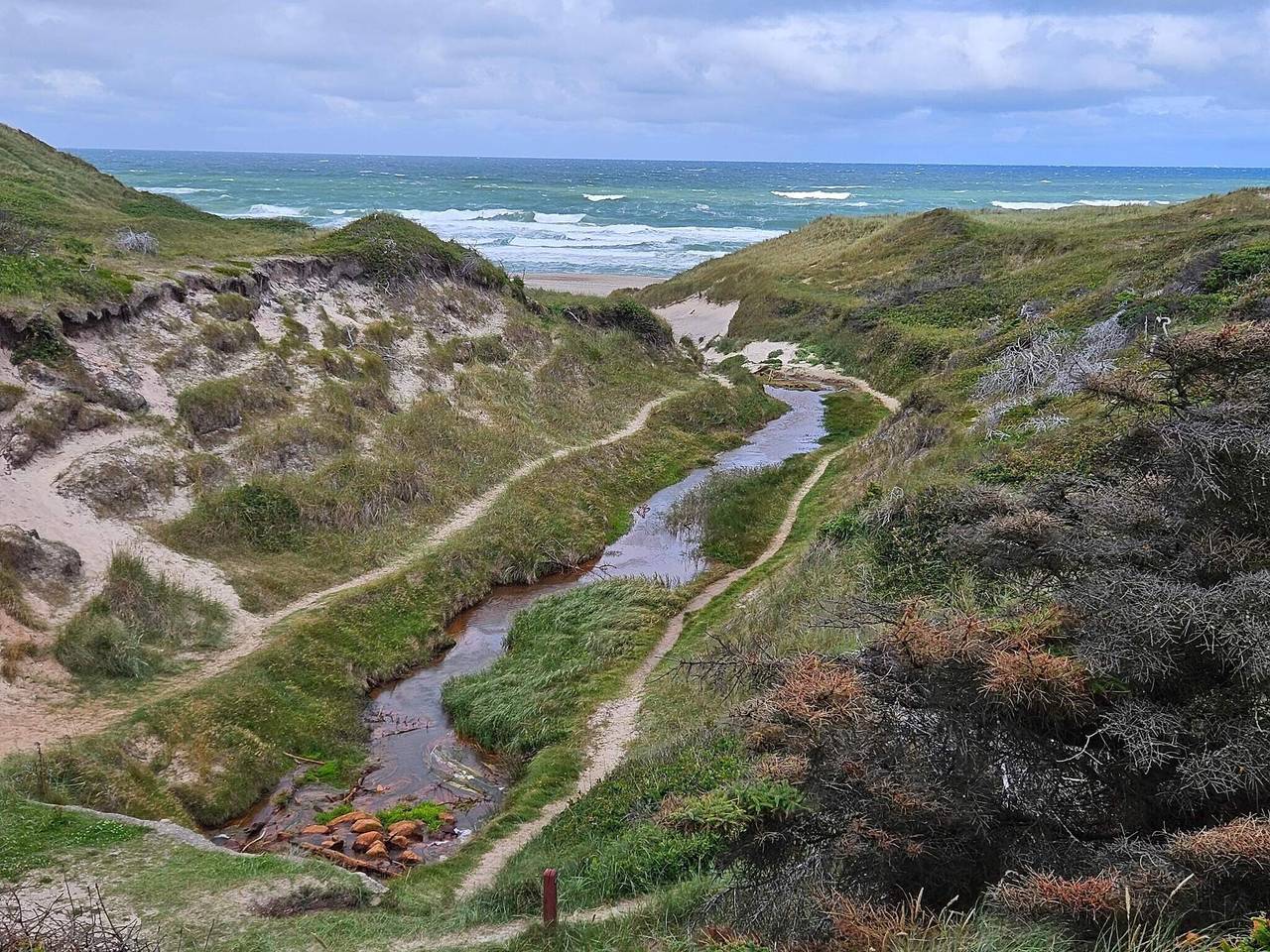 Dyllisk opholdssted i nord -- By Traum Ferienwohnungen in Thisted, Thy Nationalpark