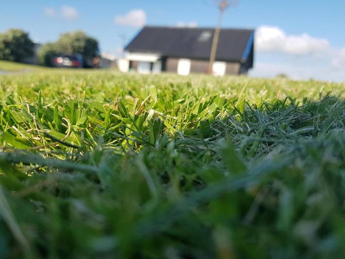 Gîte pour 7 personnes, avec vue ainsi que jardin et terrasse, animaux acceptés dans Árvore - 4