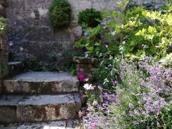 Chambre d’hôte pour 4 personnes, avec jardin en Seine-Maritime - 4