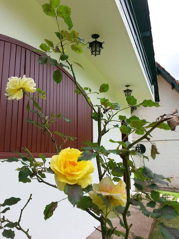 Marcita hat ihre Zuflucht in den Bergen in Monte Verde, Minas Gerais