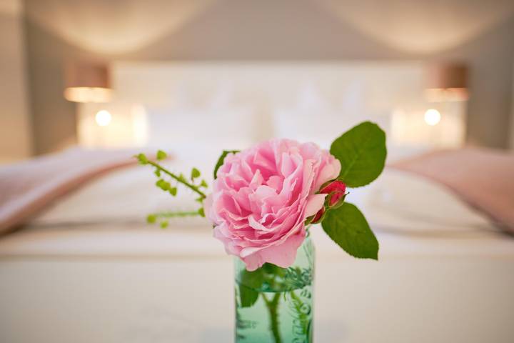 Hotel für 2 Personen mit Garten in Gols, Neusiedlersee-Hügelland