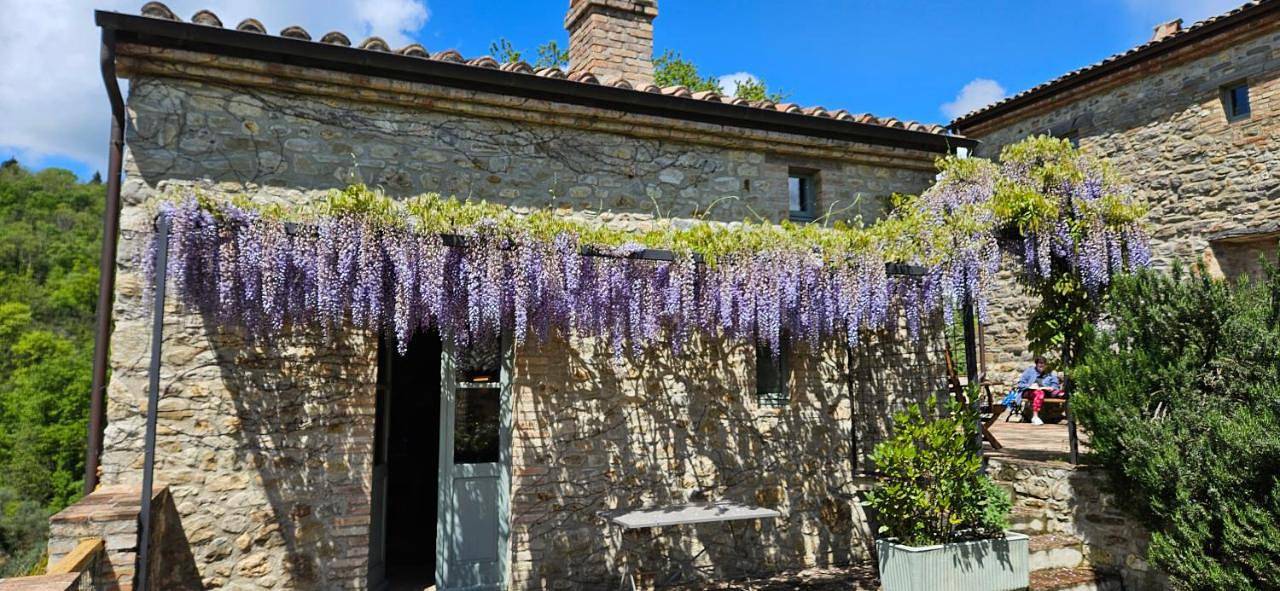Borgo Cardaneto in Montone, Valtiberina