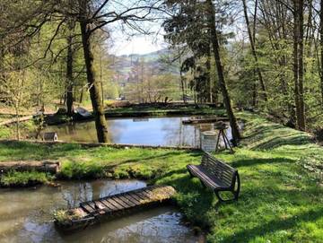 Ferienhaus für 2 Personen in Ulmet, Rheinland-Pfalz, Bild 2