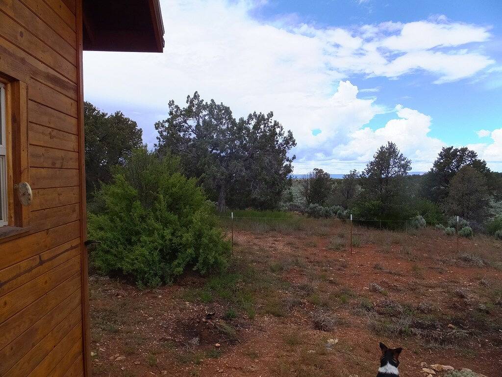 Glamping, Off-Grid-Abenteuer in unserer friedlichen Hütte auf 10 Hektar für Sie in Coconino County