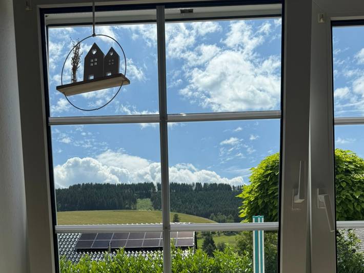 Ganze Wohnung, Ferienwohnung in Westfeld bei Winterberg mit Terrasse und Naturblick in Westfeld, Schmallenberg