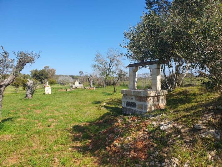 Camping per 8 persone, con giardino in Salento