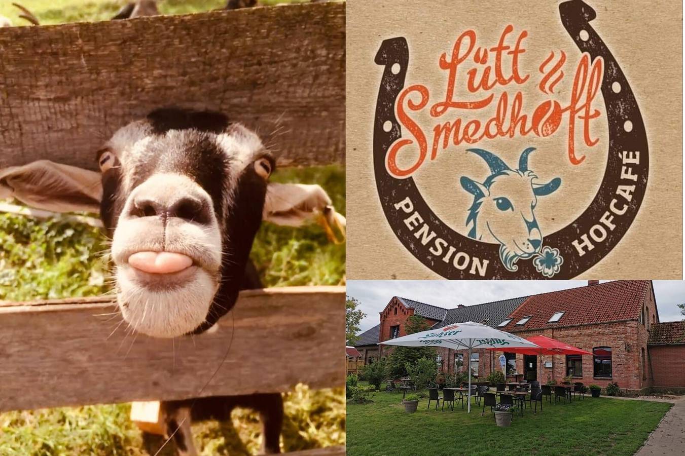 Ganze Wohnung, Apartment „Lütt Smedhoff - Dresden“ mit Gemeinschaftspool, Garten und Wlan in Mecklenburgische Seenplatte