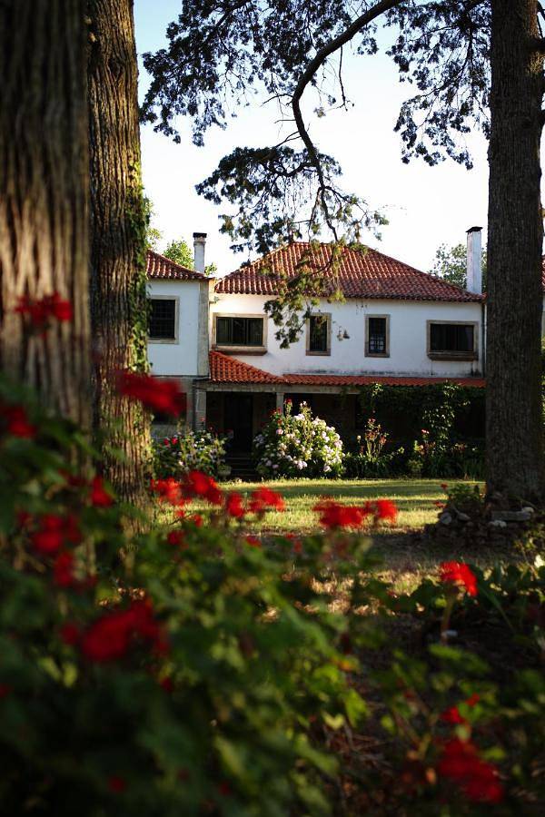 Location de vacances pour 18 personnes, avec vue ainsi que piscine et jardin, animaux acceptés à Gouveia - 4