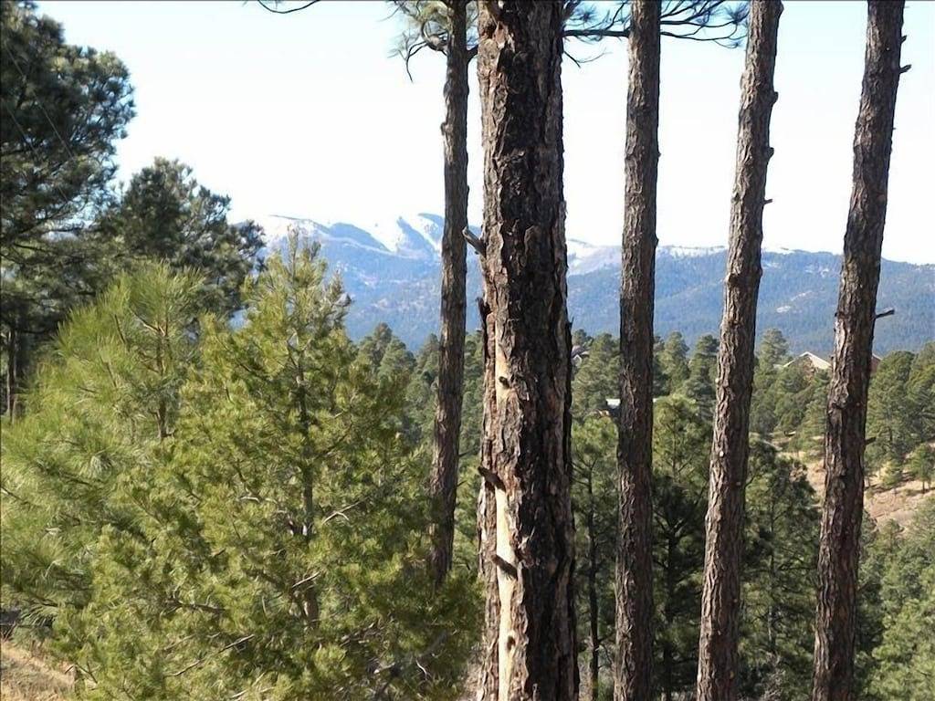 Unglaubliche Aussichten, perfekte Lage, Ski, Golf, Mountain Home in Alto, Ski Apache