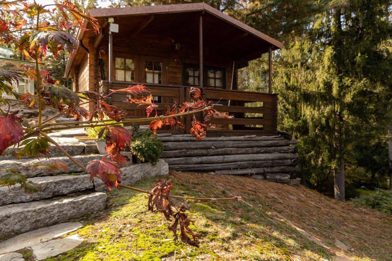 Eco-Resort Parco Botanico Fiorlago in Bracchio, Comune di Mergozzo