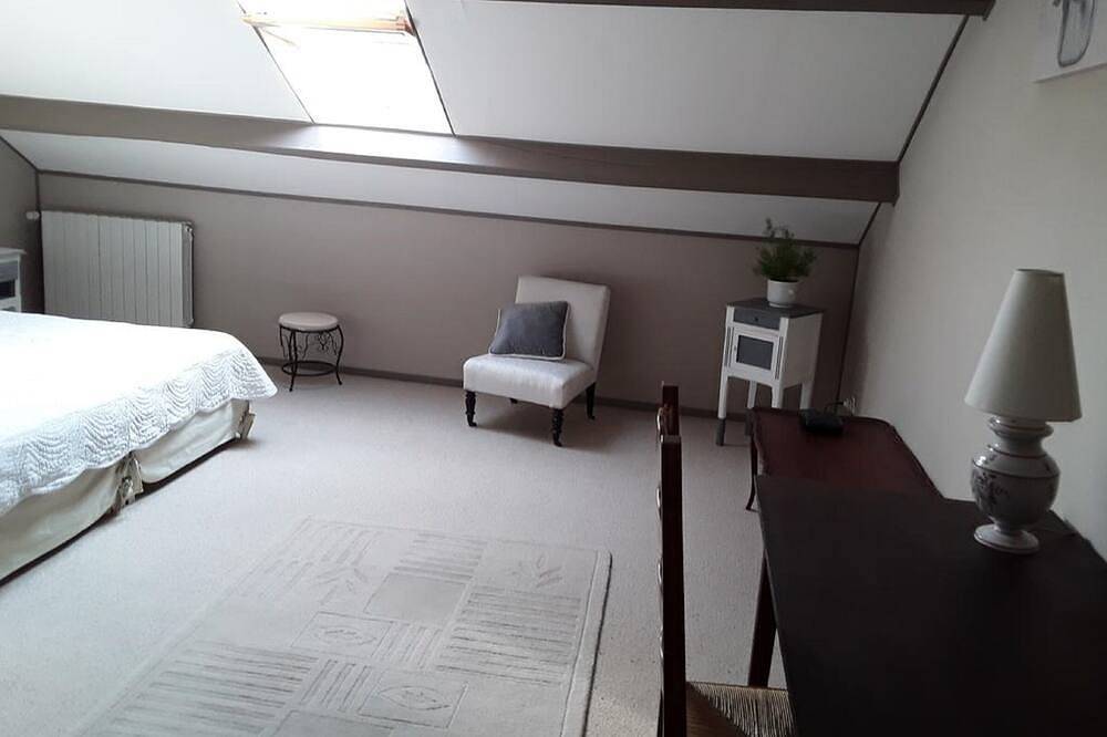 Chambre king size et salon in Tour-en-Sologne, Sologne