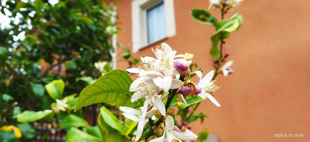 Location de vacances pour 4 personnes, avec vue et jardin à Mazzarino - 4