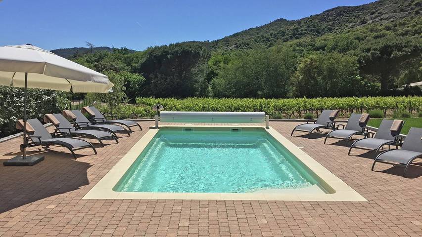 Ferienhaus für 8 Personen, mit Pool und Terrasse sowie Garten, mit Haustier - 1