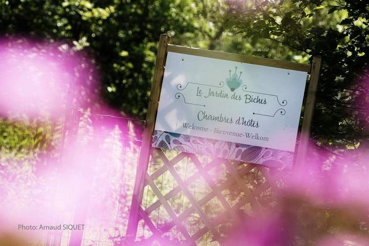 Chambre d’hôte pour 2 personnes, avec vue et jardin à Somme-Leuze