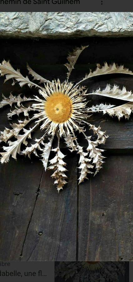 Gîte pour 2 personnes, avec vue et terrasse, animaux acceptés à Moulinet - 2