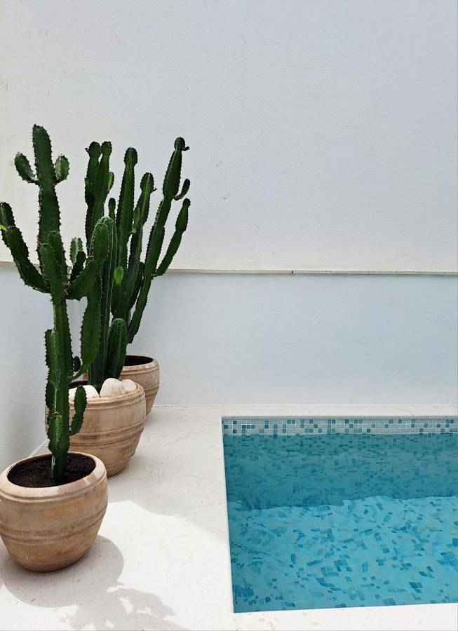 Casa de férias para 4 pessoas, com terraço e piscina e ainda vista, com animais de estimação em Alcochete