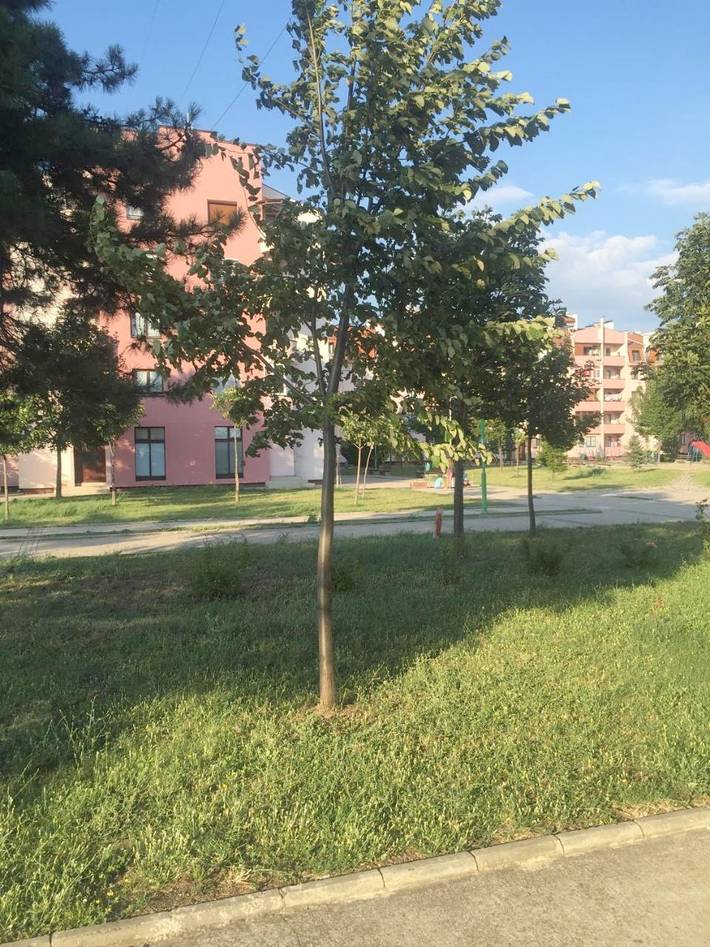 Appartement de vacances pour 4 personnes, avec jardin ainsi que vue et sauna