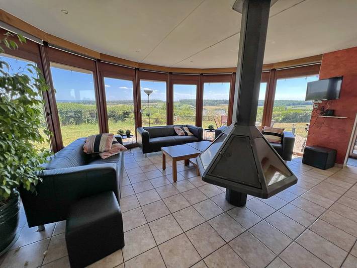 Location de vacances pour 11 personnes, avec terrasse ainsi que sauna et jardin, animaux acceptés à Somme-Leuze - 2