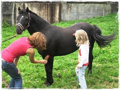 Ferienhaus für 3 Personen, mit Terrasse und Garten, kinderfreundlich in Monschau - 4