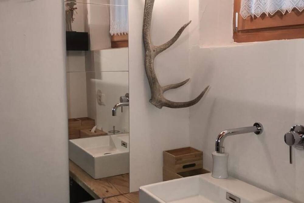 Ganze Wohnung, Cad Ciävra in Vicosoprano, Bregaglia