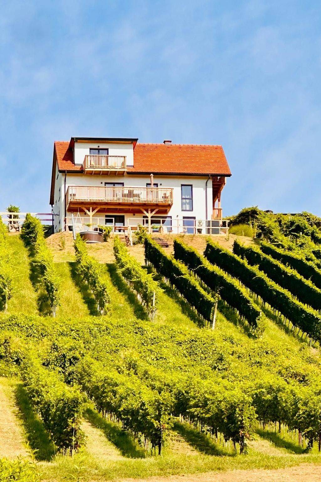 Rebenchalet in Südoststeiermark, Sankt Anna am Aigen