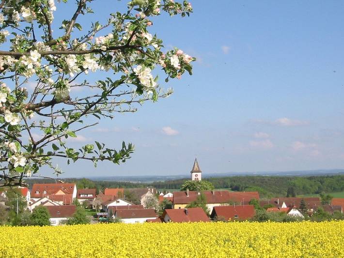 Hel lejlighed, Room 'Doppelzimmer' with Private Terrace, Shared Garden and Wi-Fi in Leibertingen, Region Bodensee-Oberschwaben