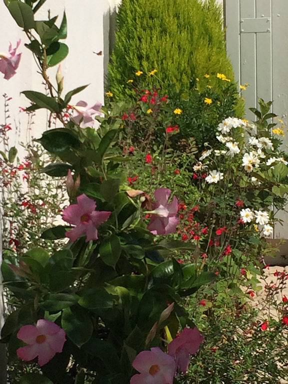 Chambre d’hôte pour 2 personnes, avec jardin en Gironde - 3