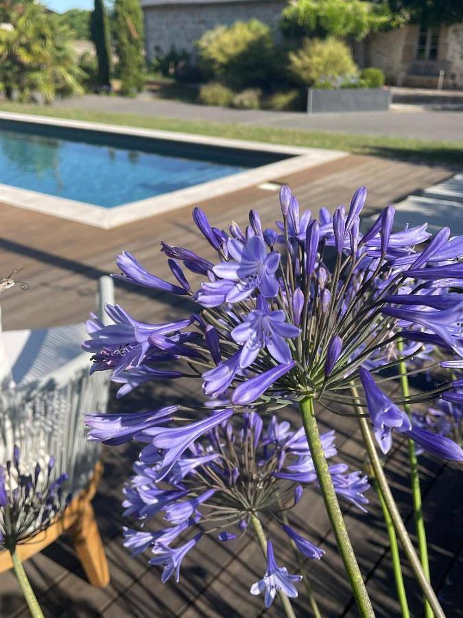 Location de vacances pour 9 personnes, avec piscine ainsi que jardin et vue dans Val-d'Izé - 4