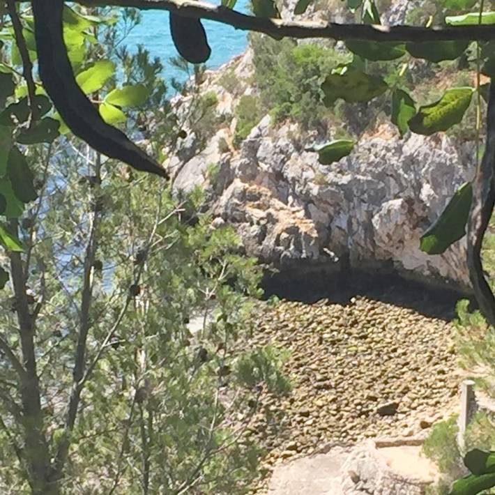 Location de vacances pour 4 personnes, avec Terrasse ainsi que Jardin et Vue dans Portinho da Arrábida