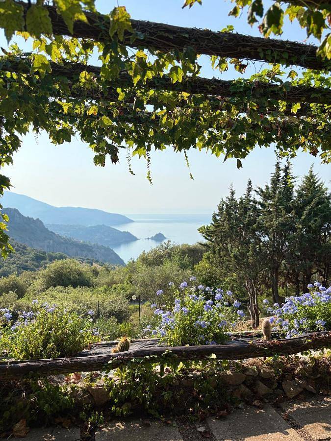 Il Riccio - Camera rosa in Monte Argentario, Provincie Grosseto