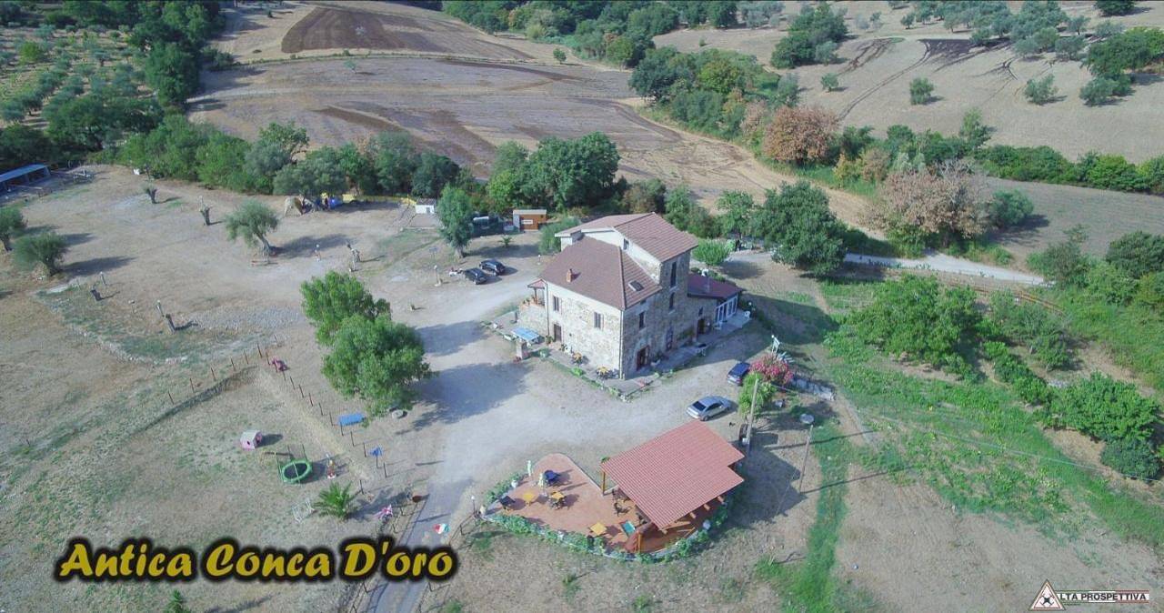 Triple Room in Ogliastro Cilento, Cilento Coast