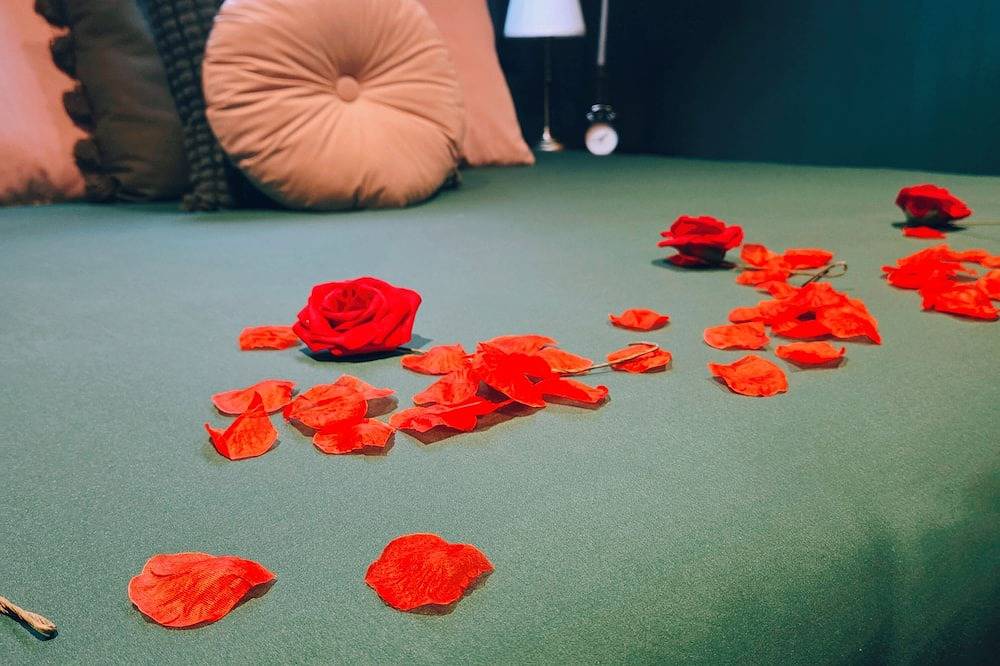 A universe where time stands still..... in Bouguenais, Nantes region