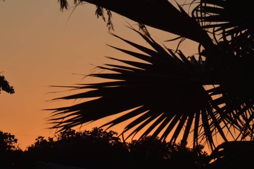 Ganze Wohnung, Studio w Private Entry - Frühstück w Mehrere Optionen + Snacks in San Antonio, Bexar County
