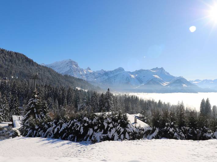 Appartement entier, La-Ina in Villars-sur-Ollon, Ollon (Villars-sur-Ollon)