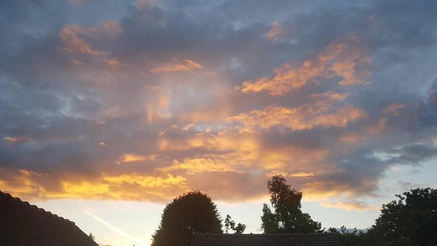 Gîte pour 3 personnes, avec jardin à Clérey - 2