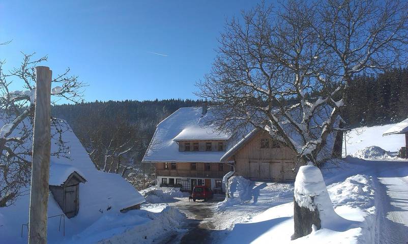 Hel lejlighed, Apartment 'Pfiffikus' with Mountain View, Shared Terrace and Wi-Fi in Schonach im Schwarzwald, Syd-Sorteskoven