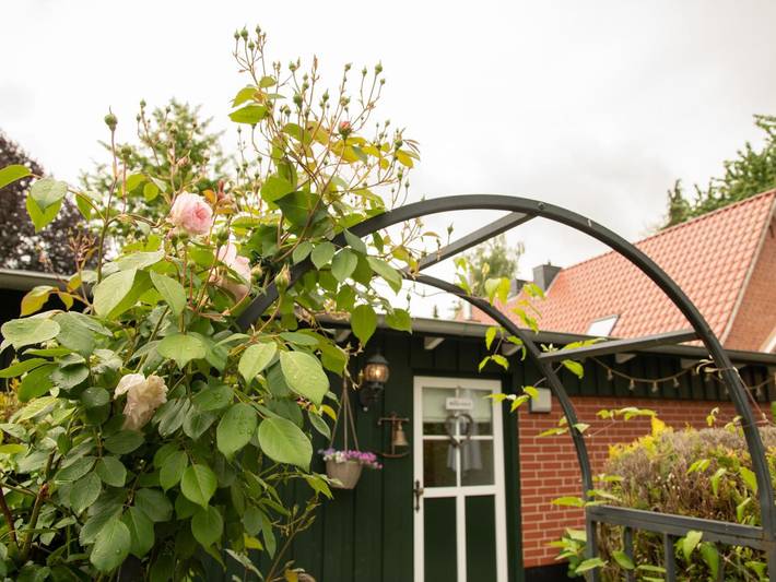 Ferienwohnung für 4 Personen, mit Terrasse, mit Haustier in Kreis Herzogtum Lauenburg - 2