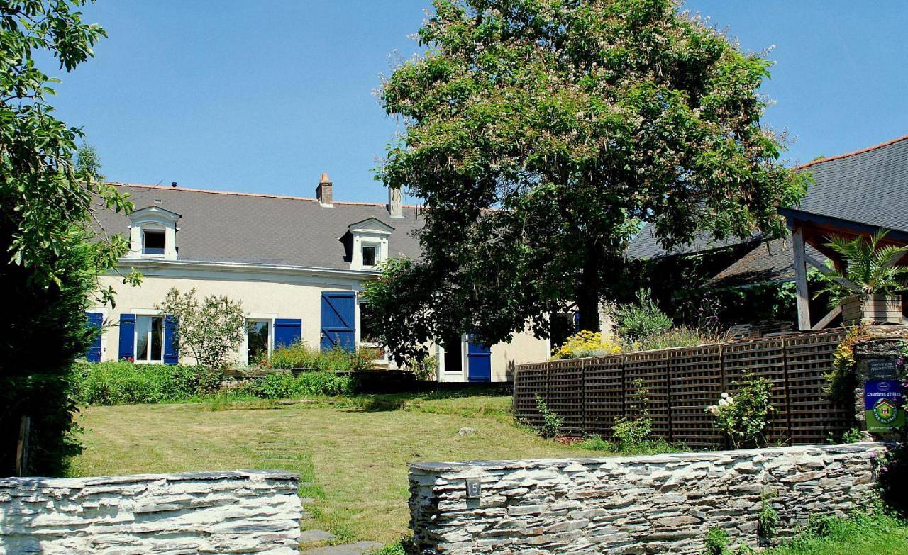 La Petite Boire - Chambres d'hôtes près d'Angers in Mûrs-Erigné, Vallée de la Loire