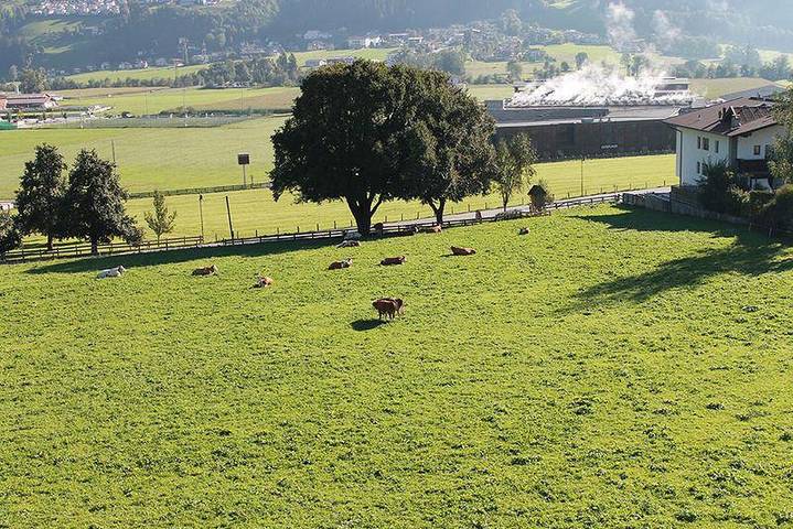 Hütte für 2 Personen, mit Balkon, kinderfreundlich in Fügen - 3
