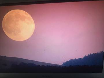 Vacation Home for 6 Guests in Russian River, Sonoma County, Picture 1