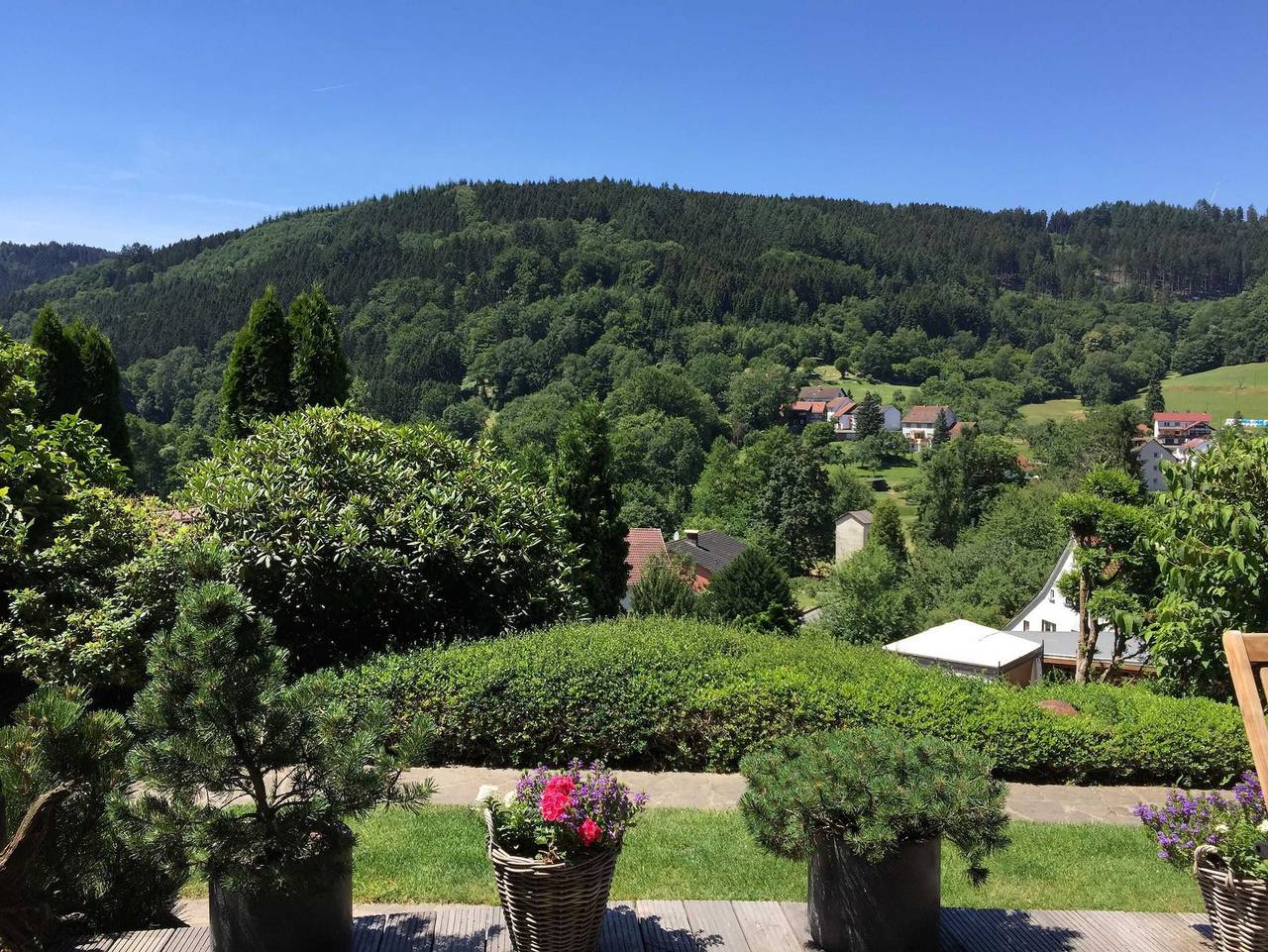 Ganze Ferienwohnung, 5 Sterne Appartement Panoramablick in Wald-Michelbach, Bergstraße