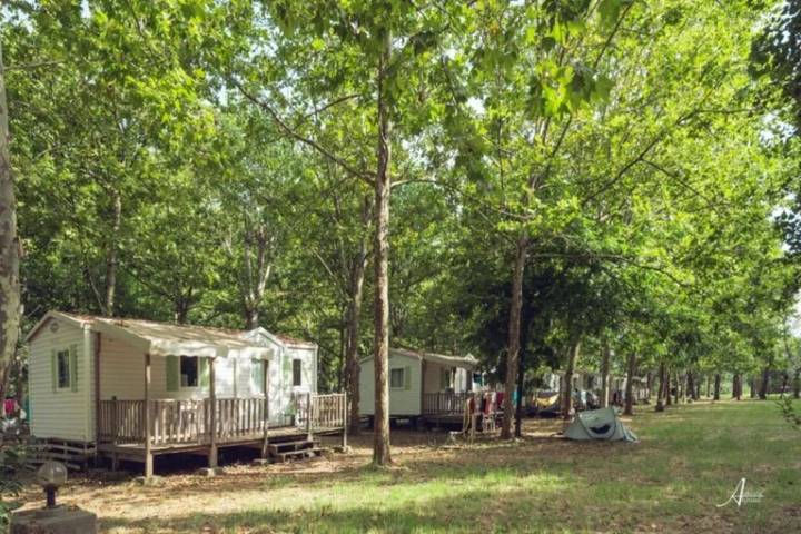 Mobil home pour 4 personnes à Ghisonaccia - 3